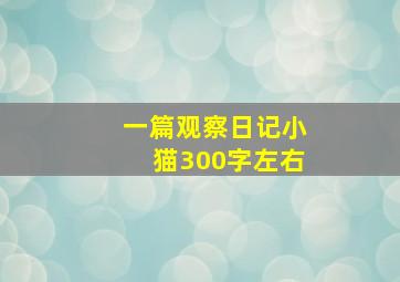 一篇观察日记小猫300字左右