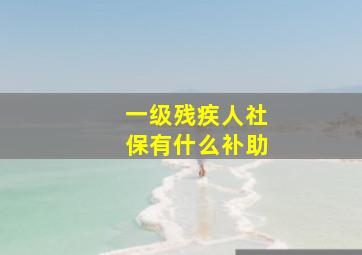 一级残疾人社保有什么补助