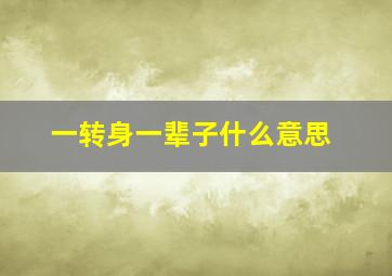 一转身一辈子什么意思