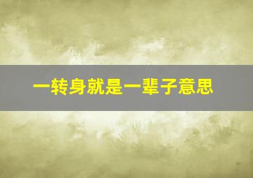 一转身就是一辈子意思