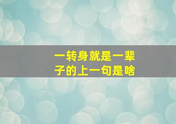 一转身就是一辈子的上一句是啥