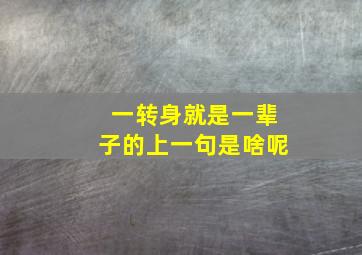 一转身就是一辈子的上一句是啥呢