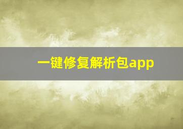 一键修复解析包app