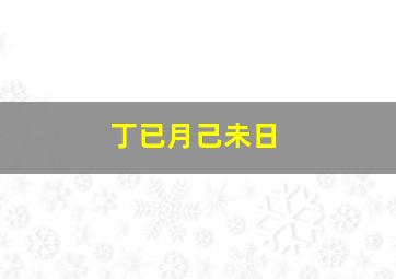 丁已月己未日