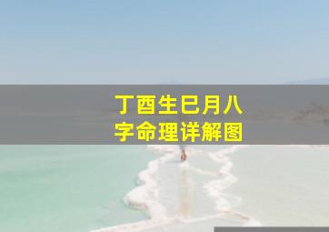 丁酉生巳月八字命理详解图