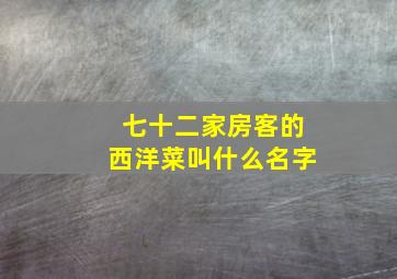 七十二家房客的西洋菜叫什么名字