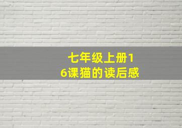 七年级上册16课猫的读后感