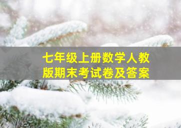 七年级上册数学人教版期末考试卷及答案