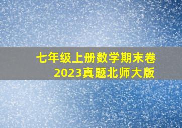 七年级上册数学期末卷2023真题北师大版