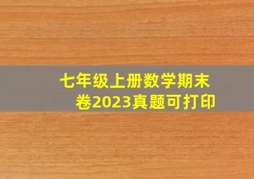 七年级上册数学期末卷2023真题可打印