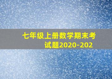 七年级上册数学期末考试题2020-202