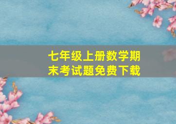 七年级上册数学期末考试题免费下载