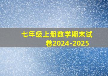 七年级上册数学期末试卷2024-2025