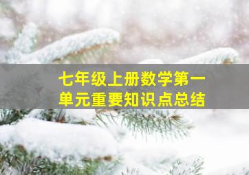 七年级上册数学第一单元重要知识点总结