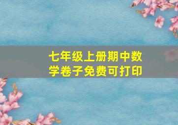 七年级上册期中数学卷子免费可打印