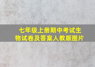 七年级上册期中考试生物试卷及答案人教版图片