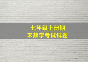 七年级上册期末数学考试试卷