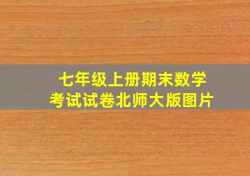 七年级上册期末数学考试试卷北师大版图片