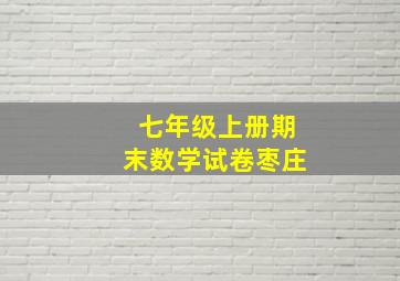 七年级上册期末数学试卷枣庄