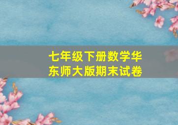 七年级下册数学华东师大版期末试卷