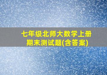 七年级北师大数学上册期末测试题(含答案)