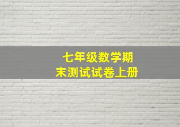 七年级数学期末测试试卷上册