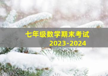 七年级数学期末考试2023-2024