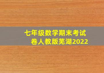 七年级数学期末考试卷人教版芜湖2022