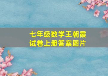 七年级数学王朝霞试卷上册答案图片