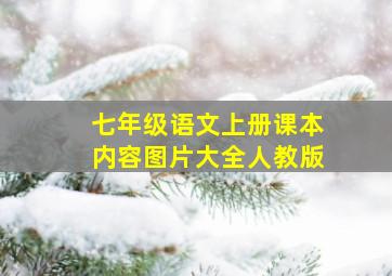 七年级语文上册课本内容图片大全人教版