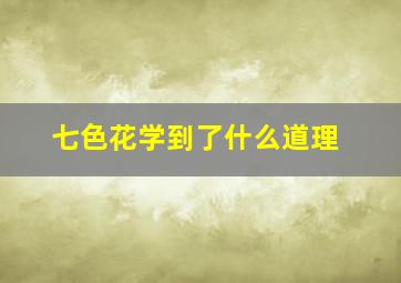 七色花学到了什么道理