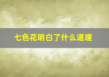 七色花明白了什么道理