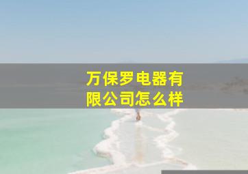 万保罗电器有限公司怎么样