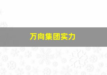 万向集团实力