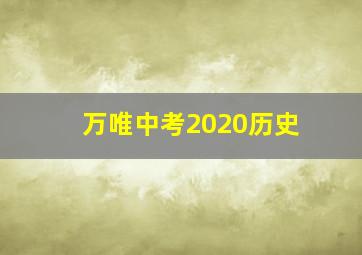 万唯中考2020历史