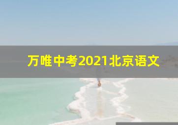 万唯中考2021北京语文