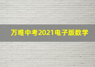 万唯中考2021电子版数学