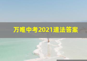 万唯中考2021道法答案