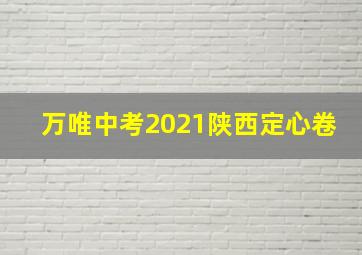 万唯中考2021陕西定心卷