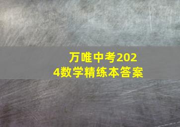 万唯中考2024数学精练本答案