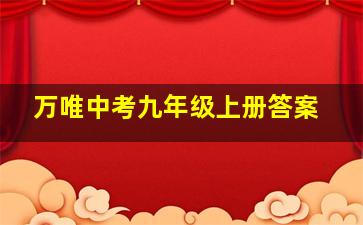 万唯中考九年级上册答案