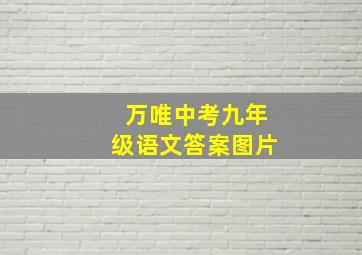 万唯中考九年级语文答案图片