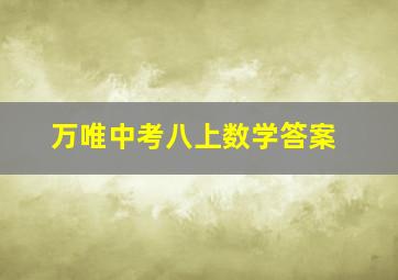 万唯中考八上数学答案