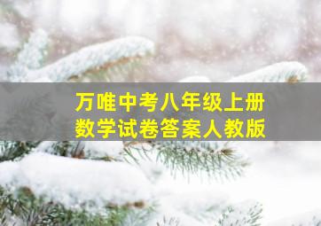 万唯中考八年级上册数学试卷答案人教版