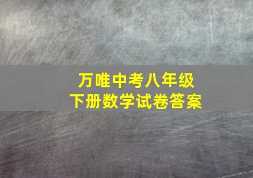 万唯中考八年级下册数学试卷答案