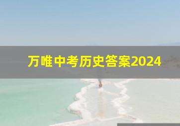 万唯中考历史答案2024