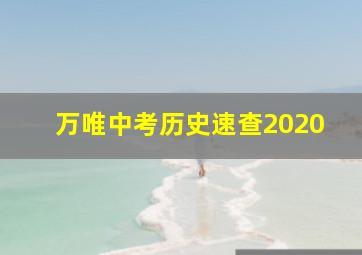 万唯中考历史速查2020