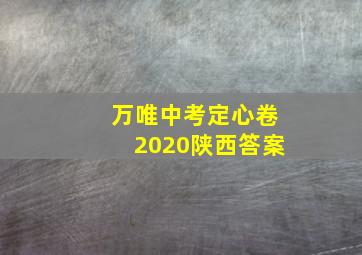 万唯中考定心卷2020陕西答案