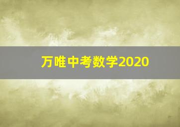 万唯中考数学2020