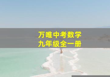 万唯中考数学九年级全一册